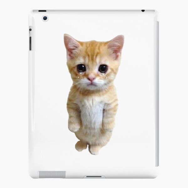 HQ Pathetic Cat Meme Cursed Face | iPad Case & Skin