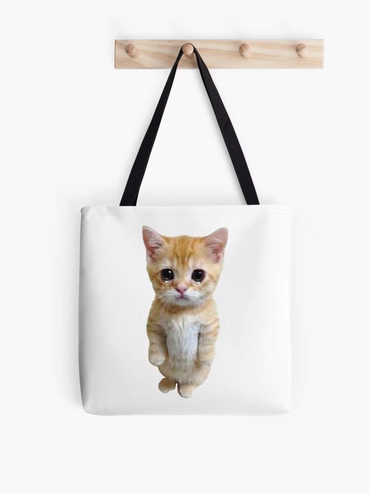 HQ Sad Crying Cat Standing Up Meme Photographic Print for Sale by  fomodesigns