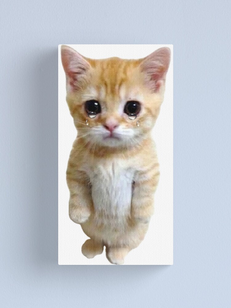 "HQ Sad Crying Cat Standing Up Meme" Canvas Print for Sale by