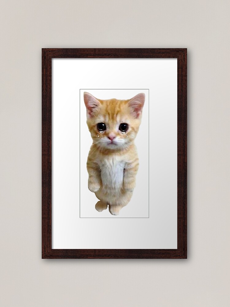 HQ Sad Crying Cat Standing Up Meme Photographic Print for Sale by  fomodesigns