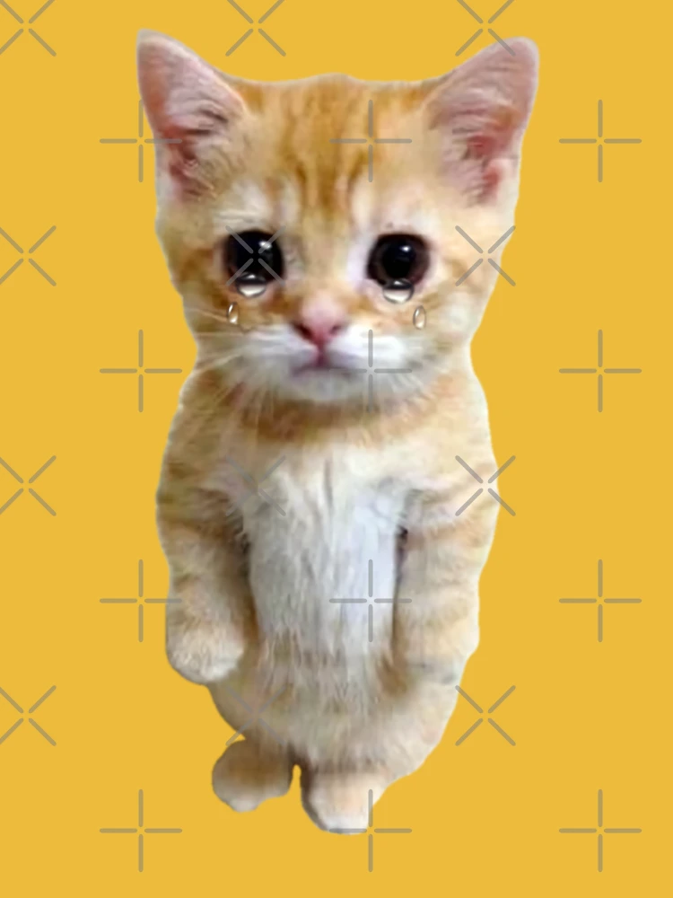 HQ Sad Crying Cat Standing Up Meme Photographic Print for Sale by  fomodesigns