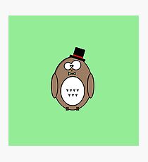 Classy owl pattern Photographic Print