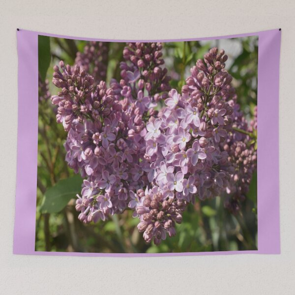 Item preview, Flider designed and sold by GOSIA GRZYBEK.