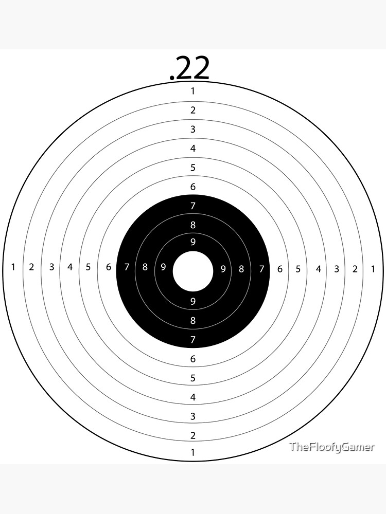 22 Air Rifle Target