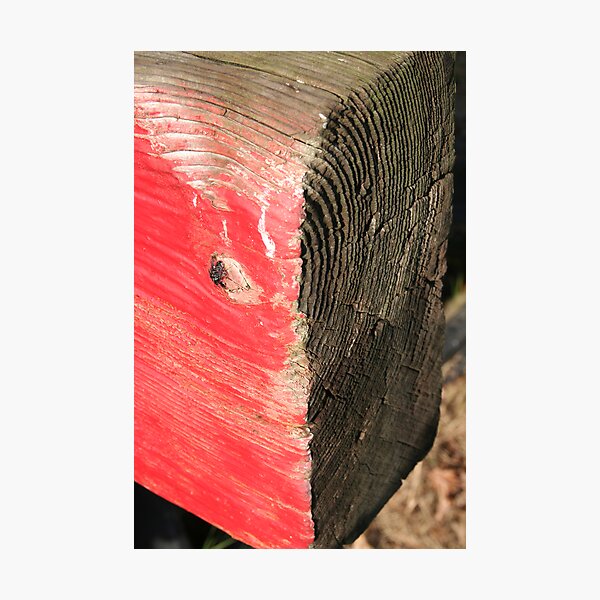 Item preview, Groovy wood designed and sold by hamsta12.