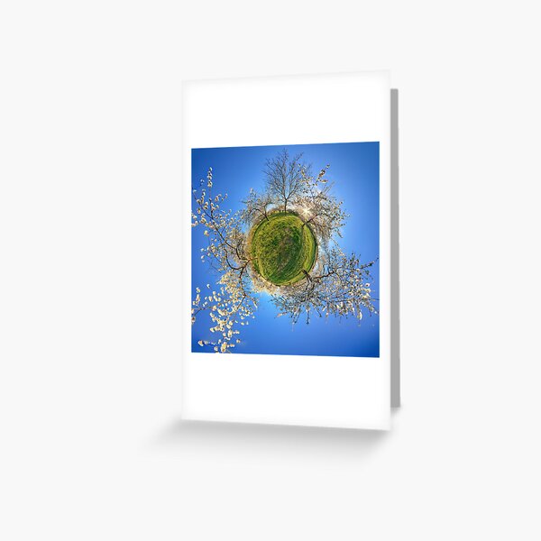 Cherry orchard in the spring Greeting Card