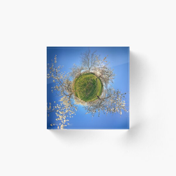 Cherry orchard in the spring Acrylic Block