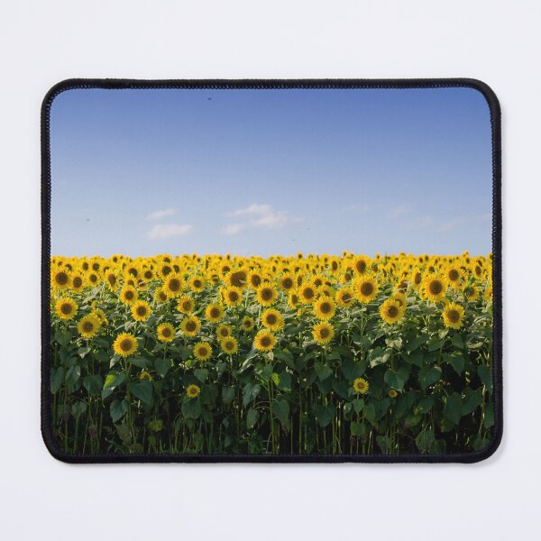 Item preview, Yellow Sunflowers Blooming designed and sold by newburyboutique.