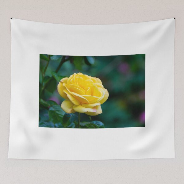 Item preview, The first rose of 2022 designed and sold by jchanders.