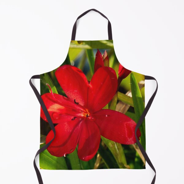 Item preview, 1380850 Mini Red Lily designed and sold by jalfc46.