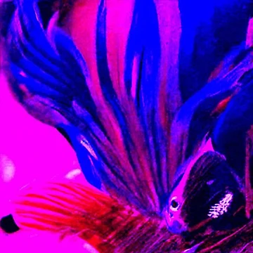 Artwork thumbnail, Abstract Color Splash by MothFluffStore