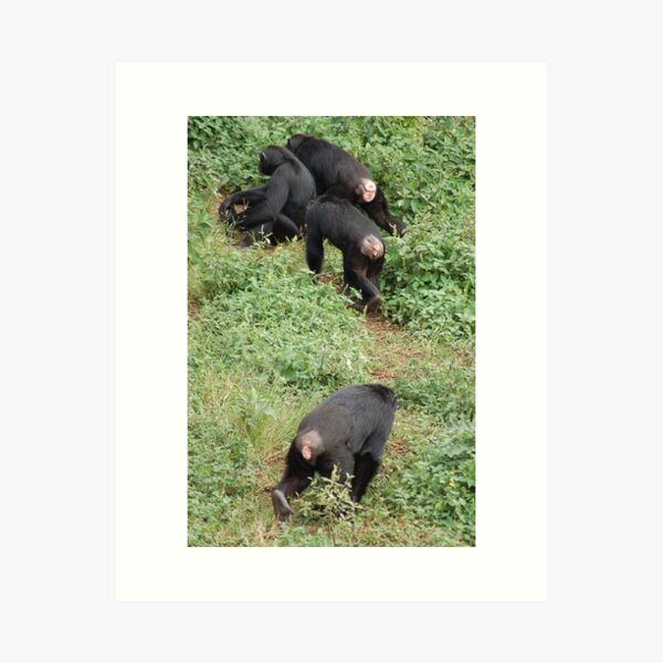 Bottoms Up Art Print