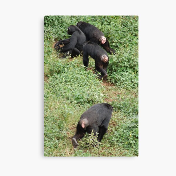 Bottoms Up Canvas Print