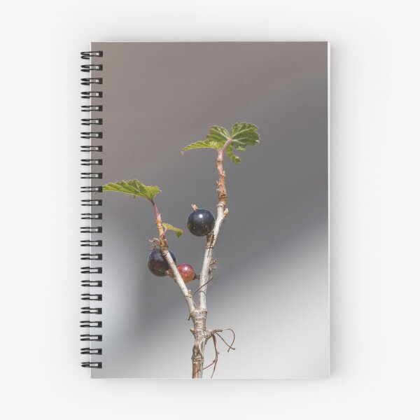 Item preview, black currant  designed and sold by chanonry.