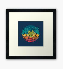 Aquatic Rainbow Framed Print