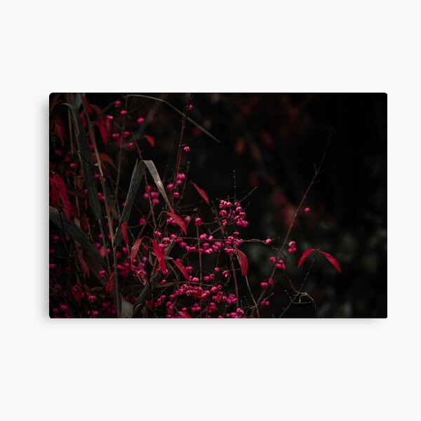 Pink flowers Canvas Print
