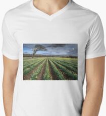 Spring Daffodils Men's V-Neck T-Shirt