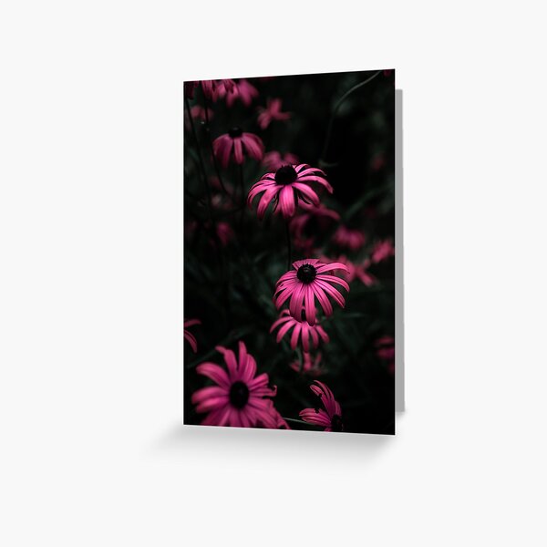 Pink flowers Greeting Card