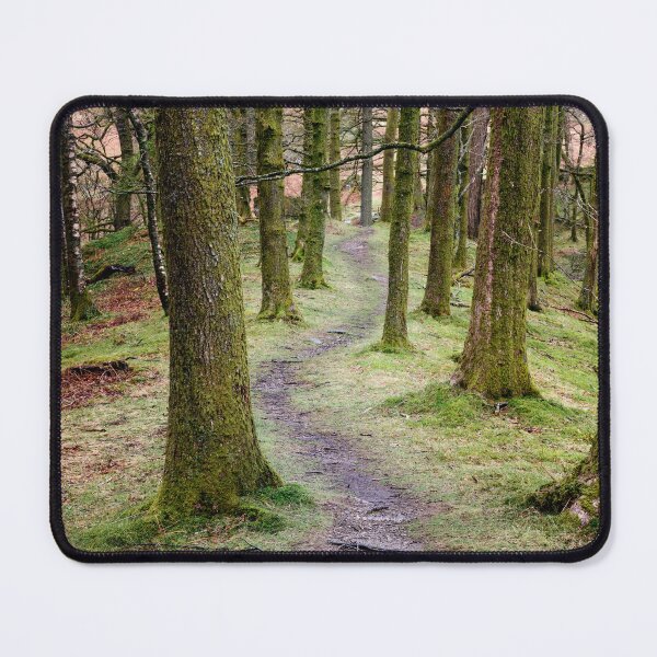Item preview, Through the woods designed and sold by John Dunbar.