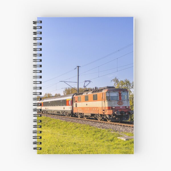 Artikelvorschau, Zu 4/4 11109 Swiss Express entworfen und verkauft von SwissOnTracks.