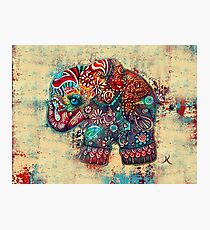 Vintage Elephant Photographic Print