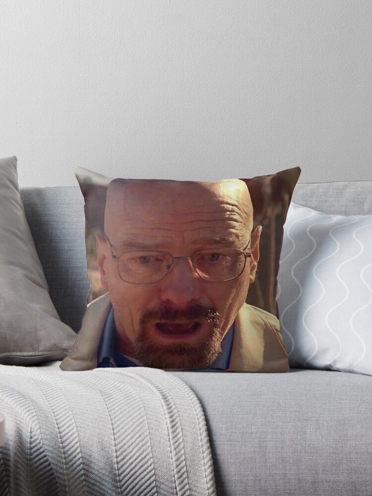 https://ih1.redbubble.net/image.3561747881.6931/throwpillow,small,750x1000-bg,f8f8f8.jpg