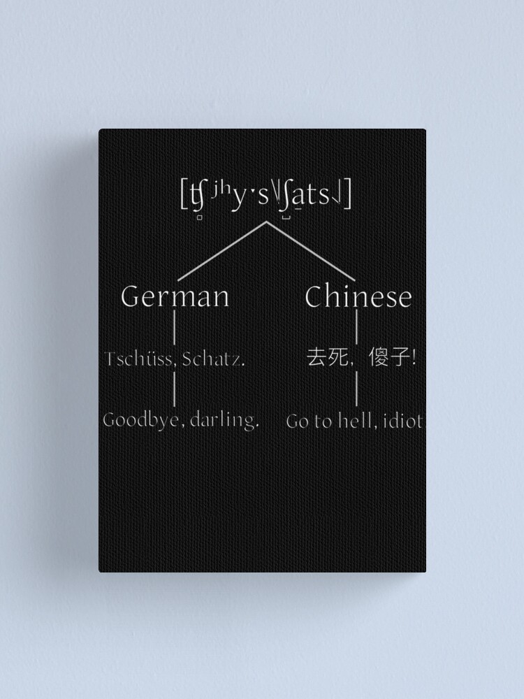 "[ʧ̻ʲʰyˑs˥˩ʃ̺a̠ts˨˩], different meanings, German, Chinese; Tschüss
