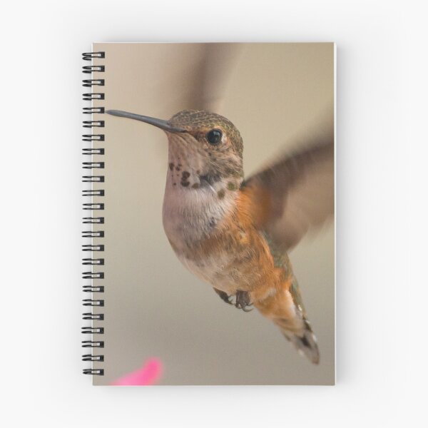 Item preview, Hovering designed and sold by Marcina  Trimmell.