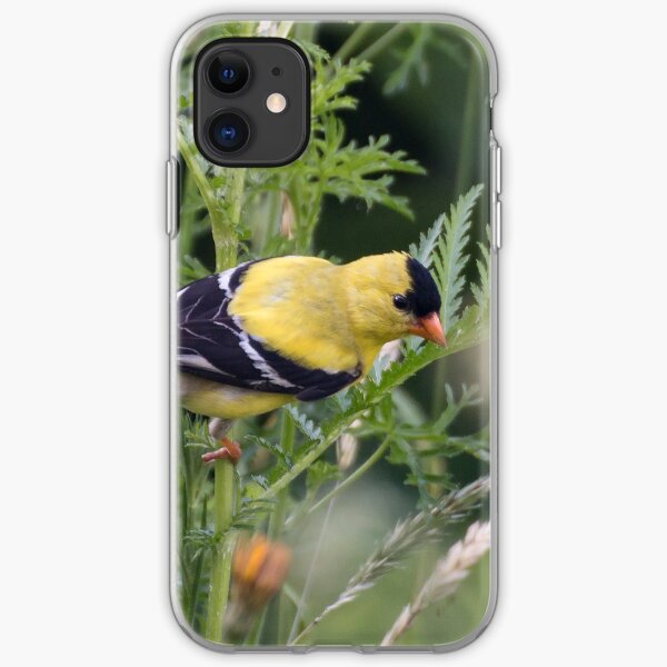 Goldfinch Fern iPhone Soft Case