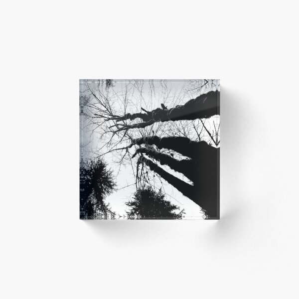 Inky Giants Acrylic Block