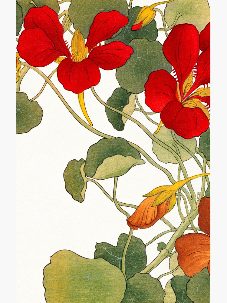 Aperçu 4 sur 4. Coque Samsung Galaxy avec l'œuvre Fleur de capucine créée et vendue par kimmary0.