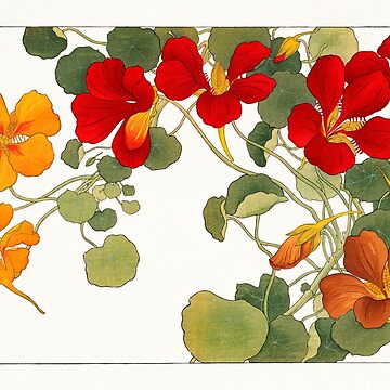 Aperçu de l'œuvre Fleur de capucine de kimmary0