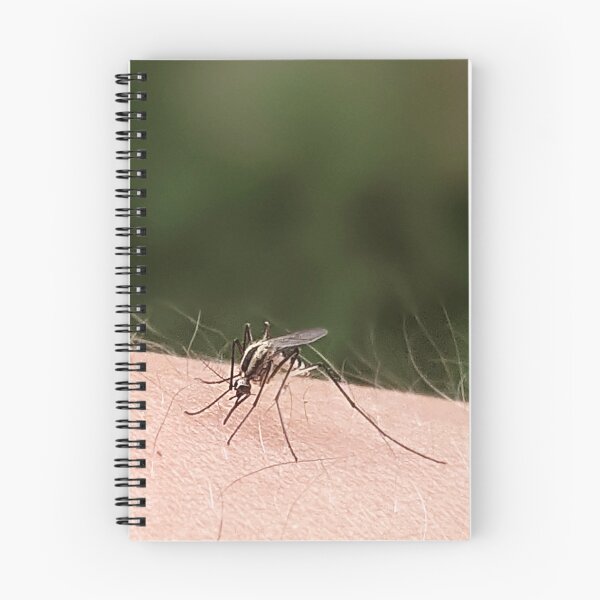 Item preview, Floodplain Mosquito  designed and sold by BugNews.