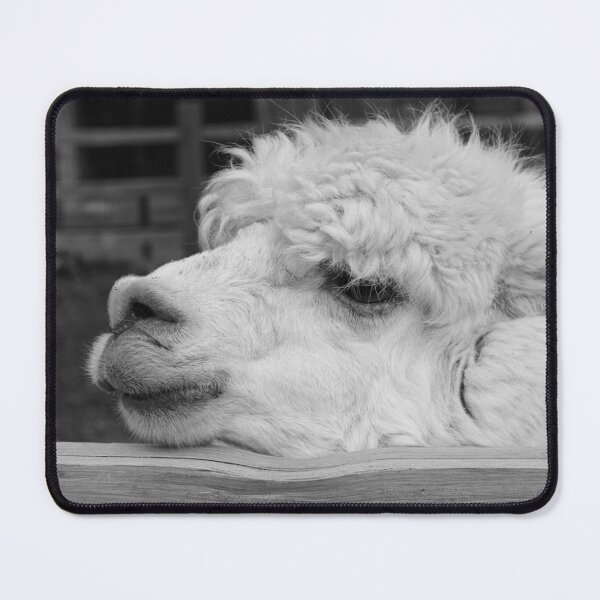 Item preview, Alpaca designed and sold by jenstever.