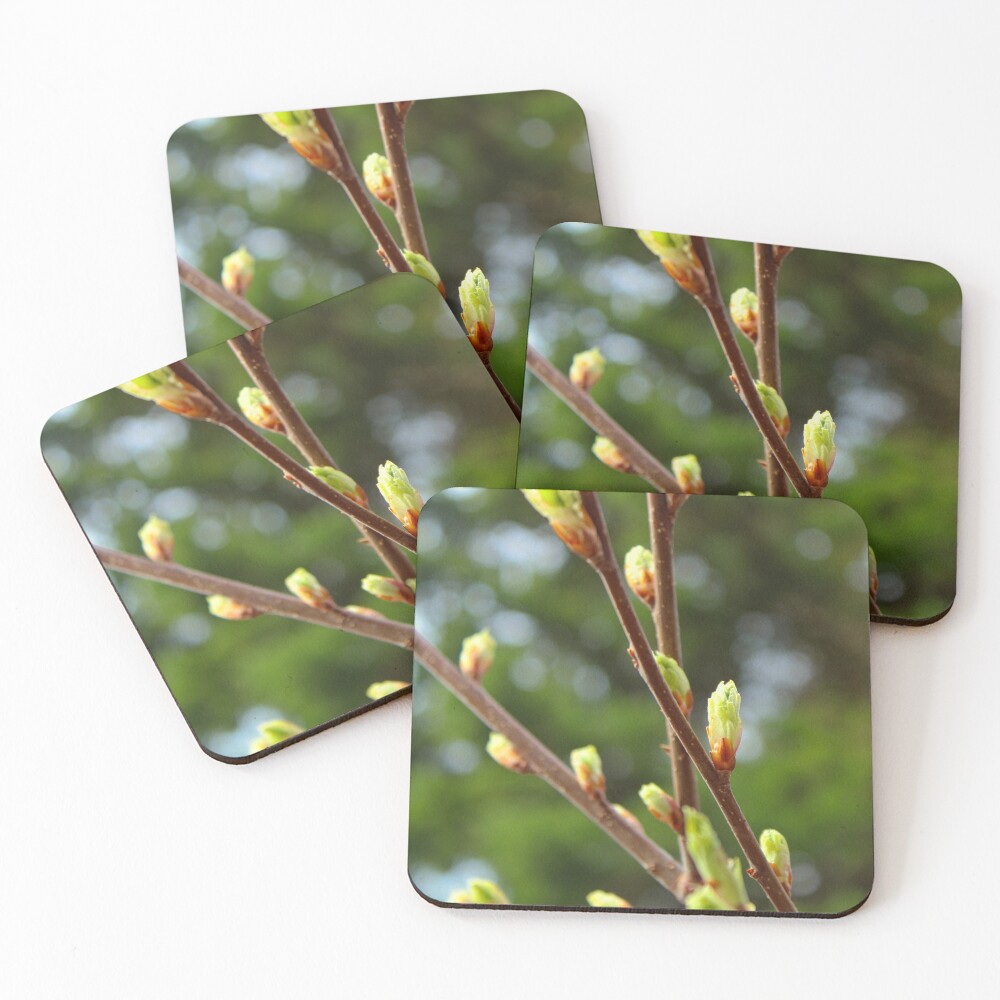 Item preview, Coasters (Set of 4) designed and sold by jenstever.