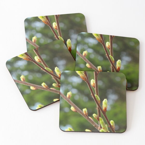 Item preview, Spring designed and sold by jenstever.