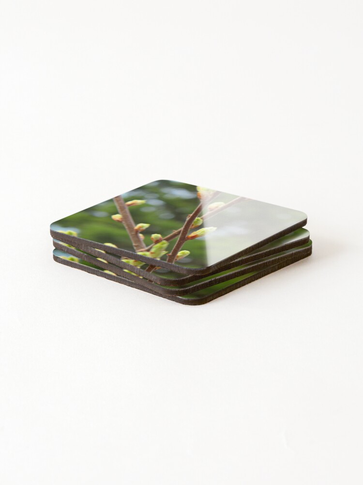 Thumbnail 4 of 5, Coasters (Set of 4), Spring designed and sold by jenstever.