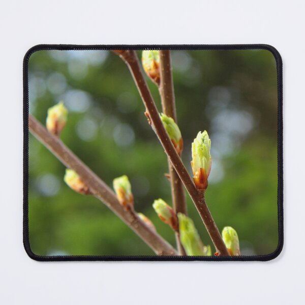 Item preview, Spring designed and sold by jenstever.