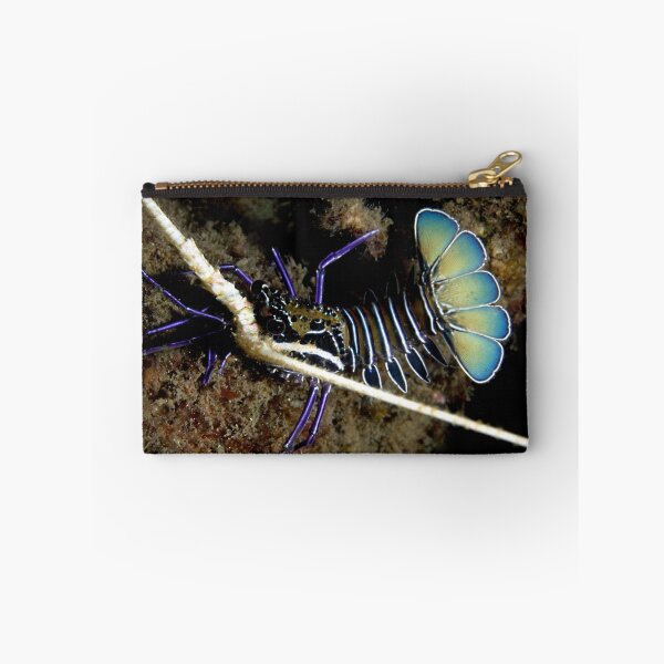 Item preview, Painted Lobster designed and sold by Deb Aston.