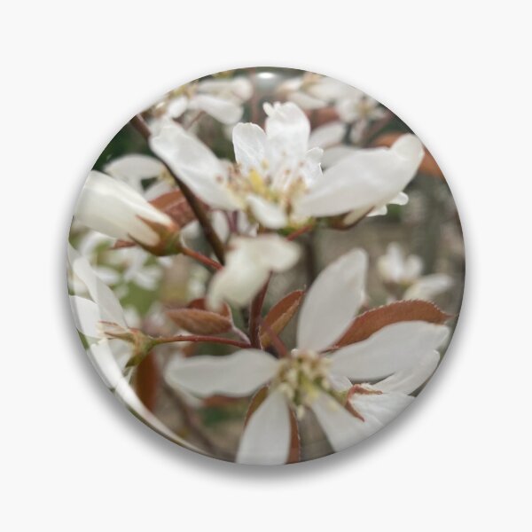 Item preview, Amelanchier Flower Photography designed and sold by OByD.