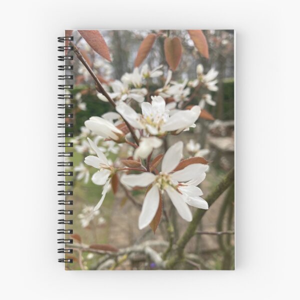 Item preview, Amelanchier Flower Photography designed and sold by OByD.