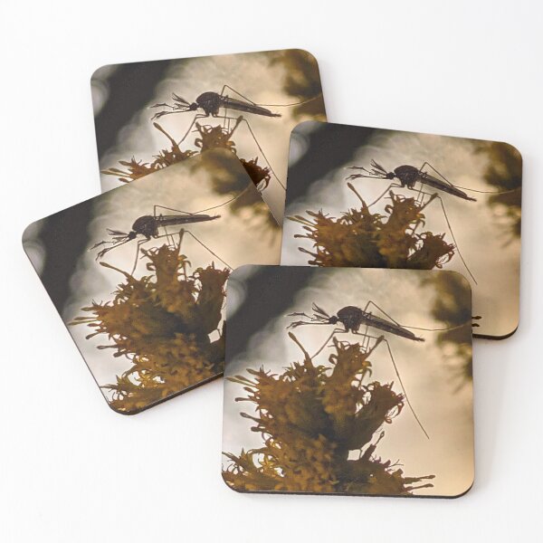 Item preview, Floodplain Mosquito at Sunset designed and sold by BugNews.