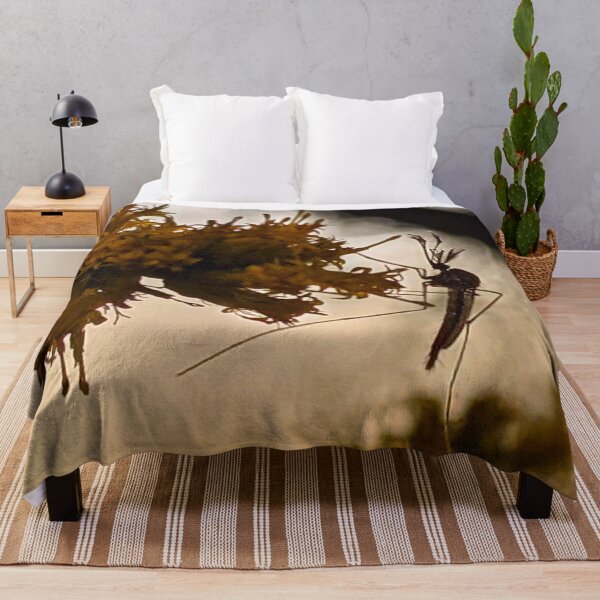 Item preview, Floodplain Mosquito at Sunset designed and sold by BugNews.