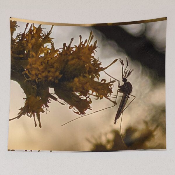 Item preview, Floodplain Mosquito at Sunset designed and sold by BugNews.