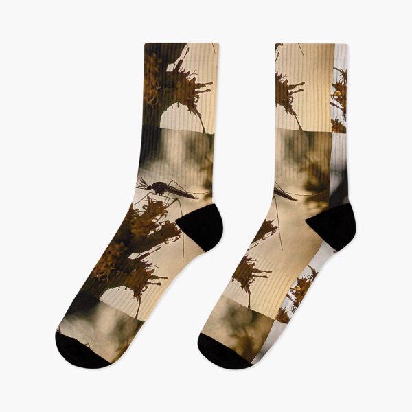 Item preview, Floodplain Mosquito at Sunset designed and sold by BugNews.