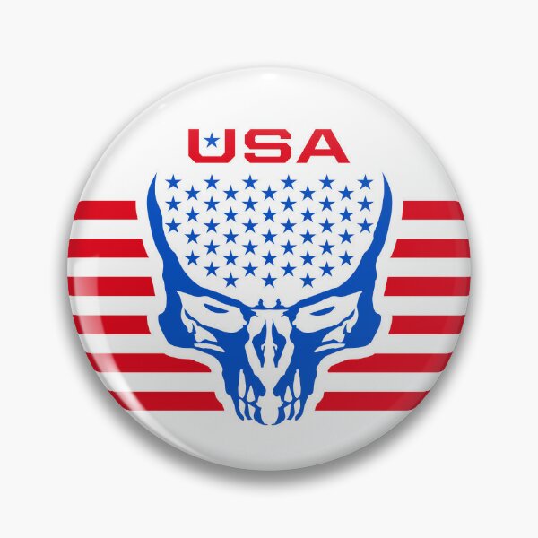 American flag skull emblem Pin