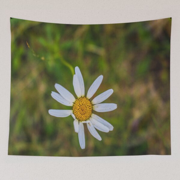 Item preview, Daisy designed and sold by KirstenJRenfroe.