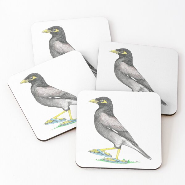 Item preview, Myna in Flip Flops designed and sold by JimsBirds.