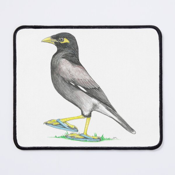 Item preview, Myna in Flip Flops designed and sold by JimsBirds.