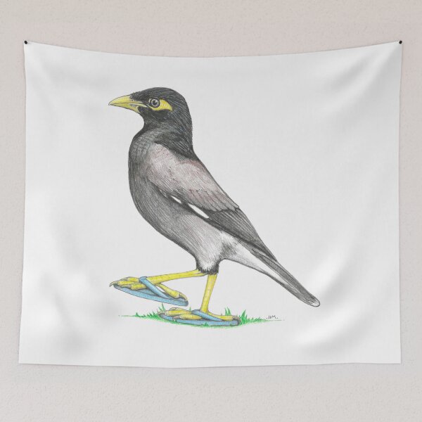 Item preview, Myna in Flip Flops designed and sold by JimsBirds.